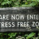 Creating a Stress Free Area for Your Massage Clients