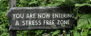 Creating a Stress Free Area for Your Massage Clients
