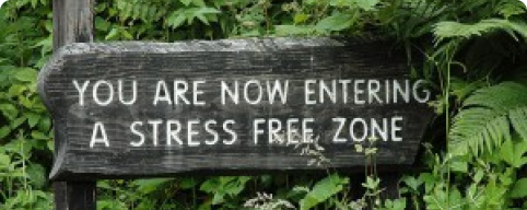 Creating a Stress Free Area for Your Massage Clients